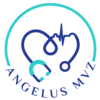 Angelus MVZ